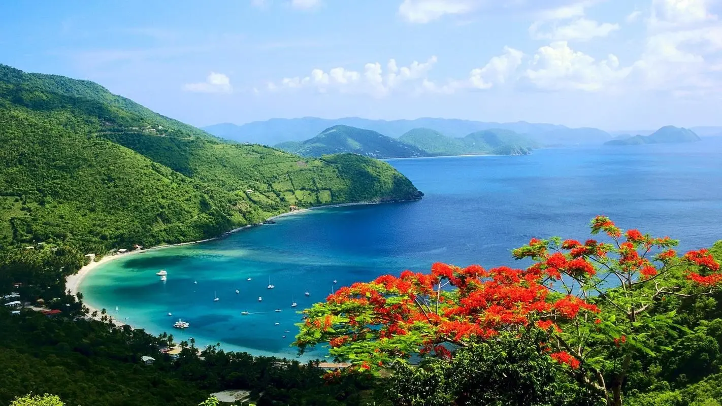 高标准高端稳定性